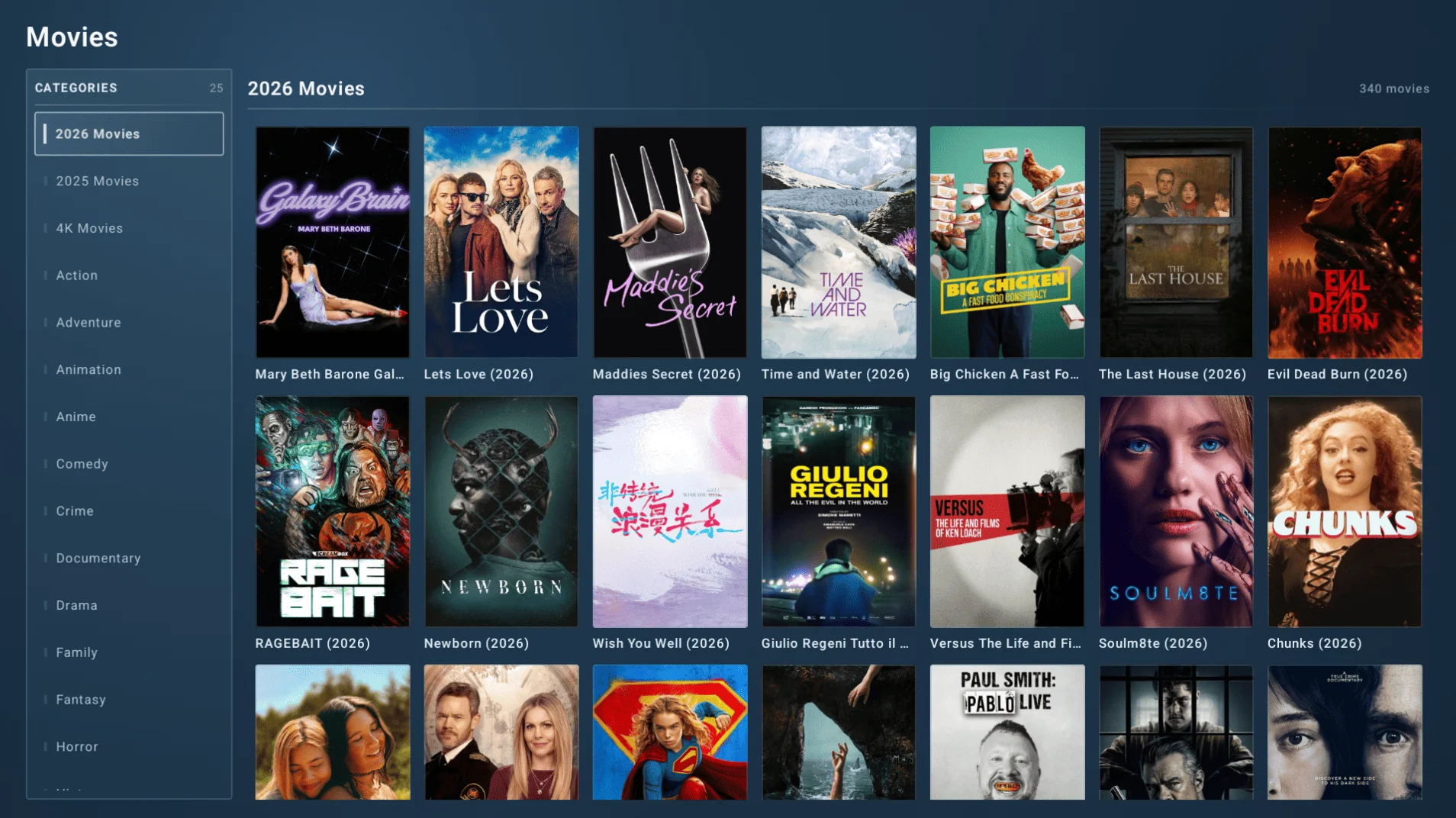 MediaHub IPTV movie browser